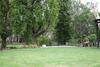 Bed & Breakfast Rothwood Homestays