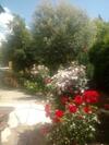 Bed & Breakfast Las Rosas