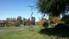 Abelia Cottages Botanical