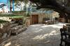 Olive Beach Villa