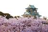 Hotel Sotetsu Grand Fresa Osaka Namba