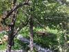 Hostal Guesthouse Edelweiss