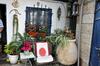 Cozy Garden