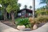 Lodge Pine Tree Cabin