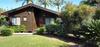 Lodge Pine Tree Cabin
