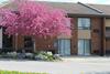 Hotel Comfort Inn