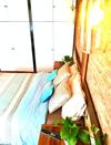 Hostal Casa Bonita