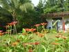 Bed & Breakfast La Rosa De Los Vientos