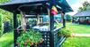 Hostal Pensiunea Camena