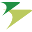 Logo de Binter Canarias