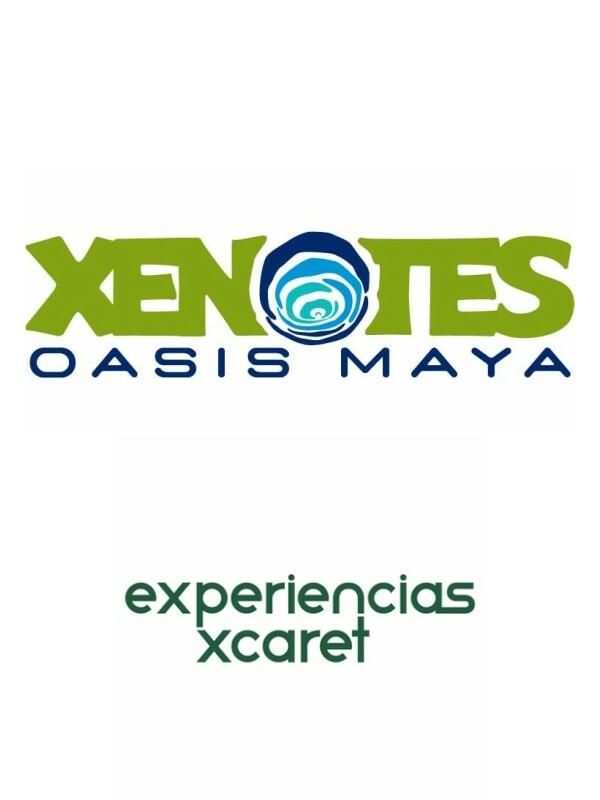 Tour Xenotes Oasis Maya