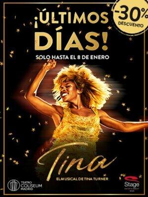 Tina, el musical de Tina Turner