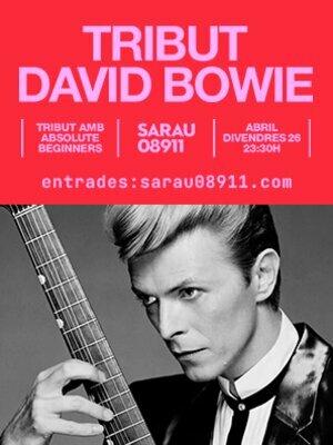Tribut David Bowie al Sarau08911