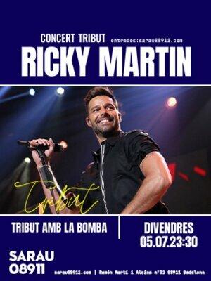 Tribut Ricky Martin al Sarau08911