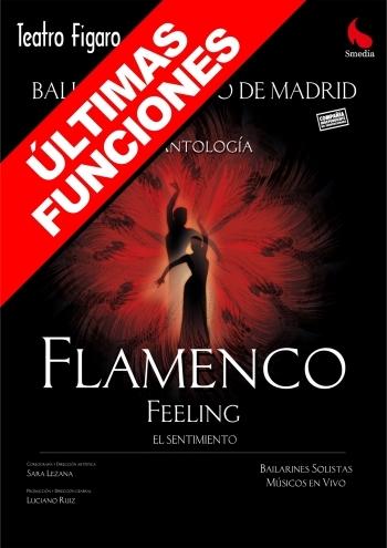 Flamenco Feeling - Ballet Flamenco de Madrid
