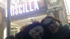 Genial Priscilla el musical :)