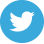 Logo Twitter
